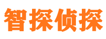 墨江侦探公司